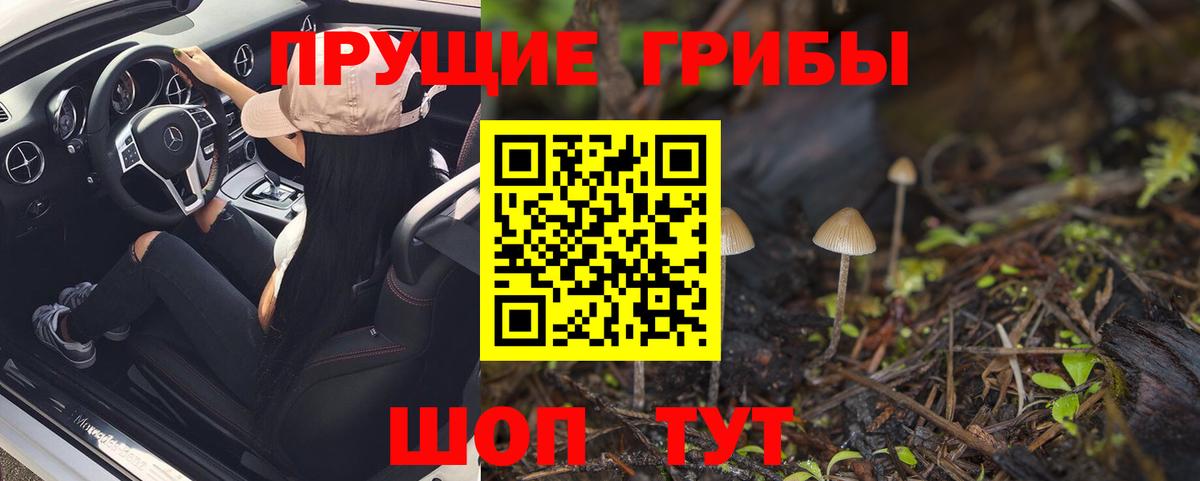 Галлюциногенные грибы Cubensis Трёхгорный